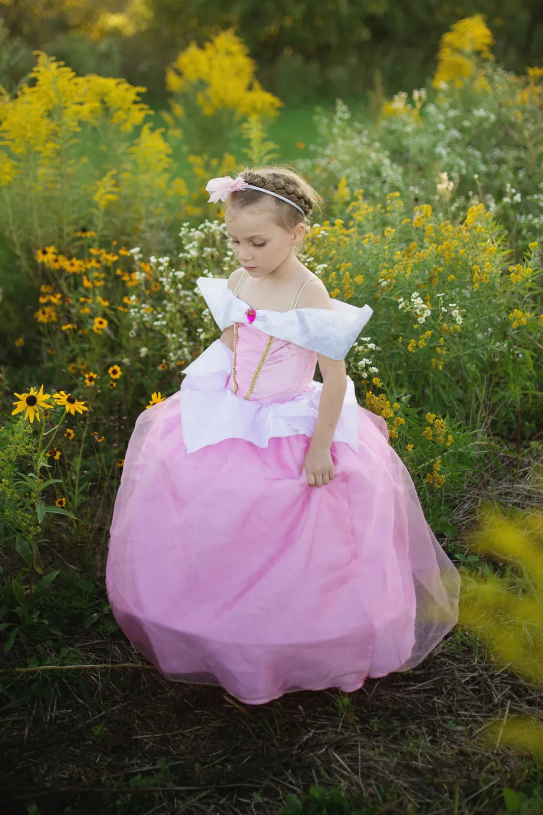 deluxe sleeping beauty dress is