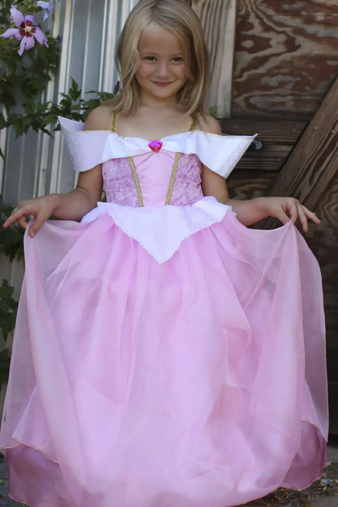 deluxe sleeping beauty dress is