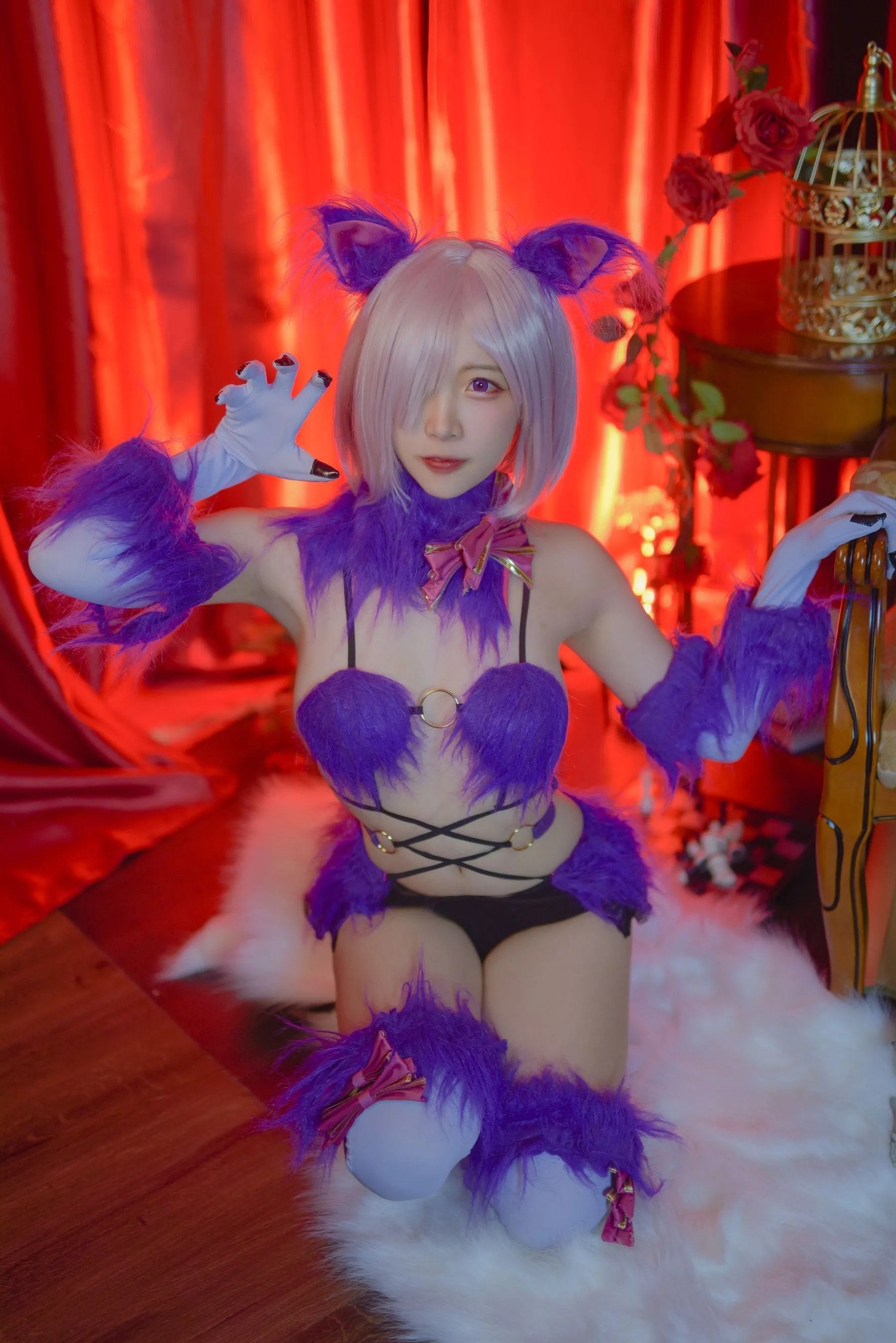 Fate/Grand Neko Cosplay Set